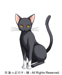ノエル