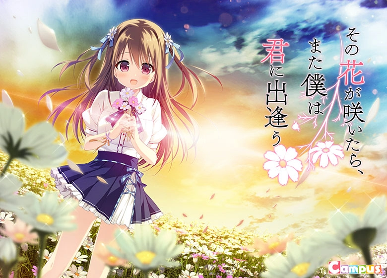 【PC】此花绽放季，与君重逢时｜在那花开之时再度与君相会｜その花が咲いたら、また僕は君に出逢う