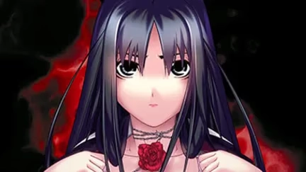 【PC】アノニマス｜Anonymous【生肉】